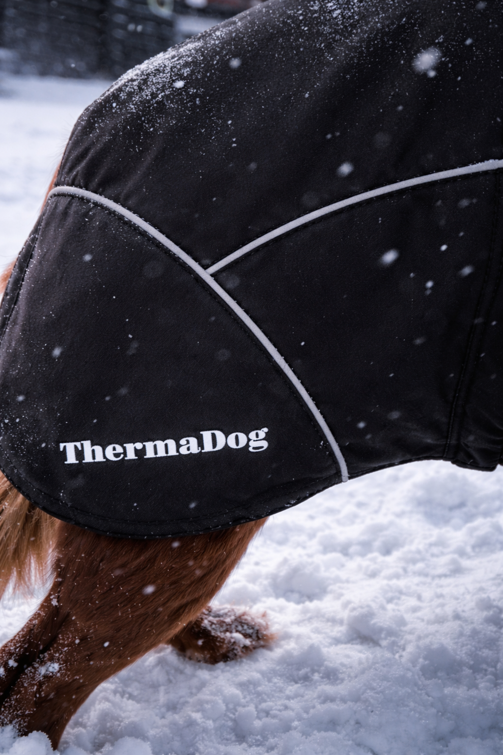 ThermaDog Winter – Vattert, Batteridrevet Varmedekken for Hund